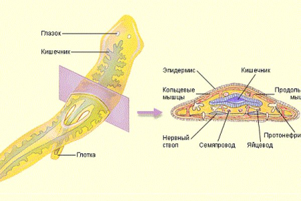 Кракен сайт kr2web